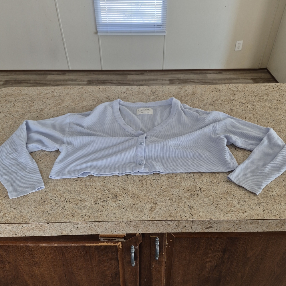 Aeropostale Light Blue Long Sleeve Crop Top